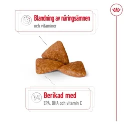 Royal Canin X-Small Ageing 12+ torrfoder för hund