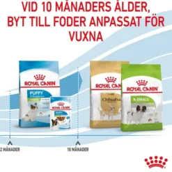 Royal Canin X-small Puppy torrfoder för hundvalp