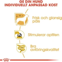 Royal Canin Yorkshire Terrier Adult Loaf våtfoder för hund 12x85 g