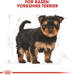 Royal Canin Yorkshire Terrier Puppy torrfoder för hundvalp