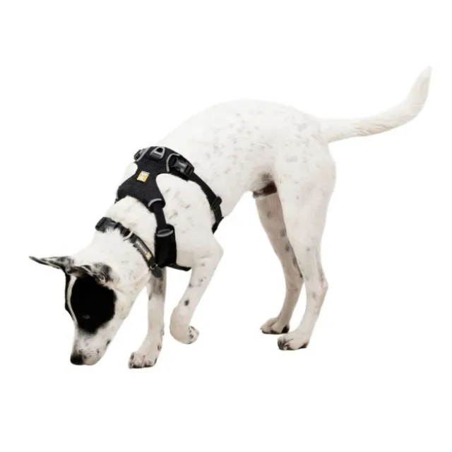 Ruffwear Front Range Flex Harness Hundsele Grå
