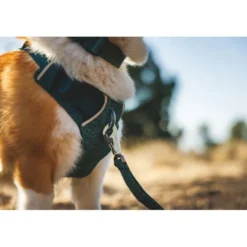 Ruffwear Front Range Flex Harness Hundsele Blågrön