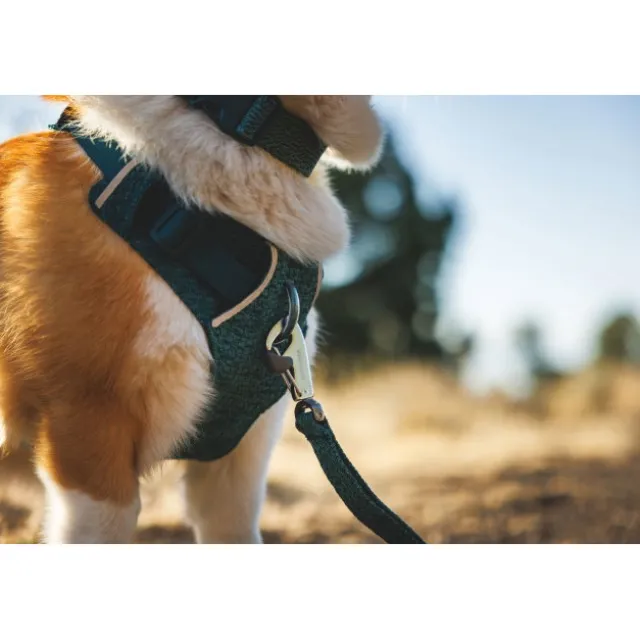 Ruffwear Front Range Flex Harness Hundsele Blågrön