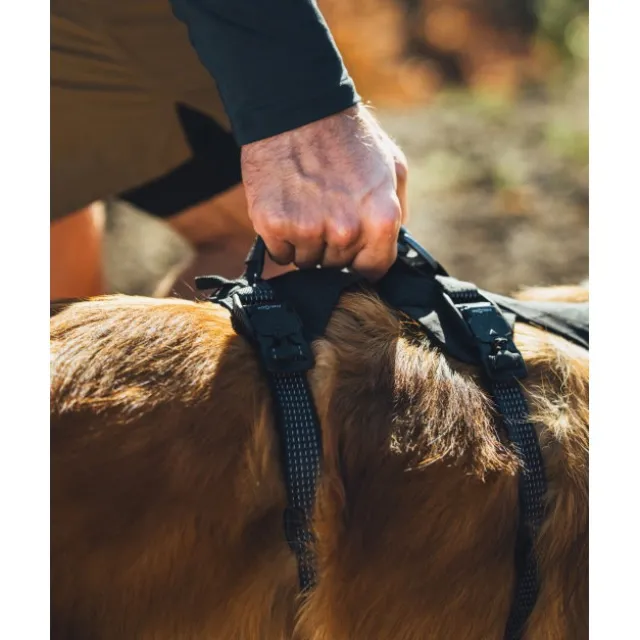Ruffwear Ridgeline Harness Hundsele Svart