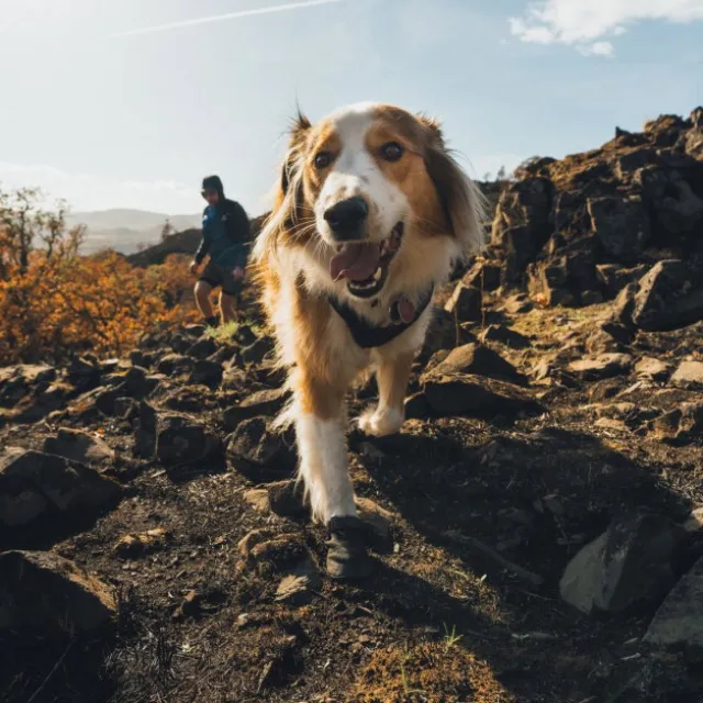 Ruffwear Ridgeline Hundskor Svart 2-pack