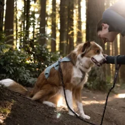 Ruffwear Web Master Hundsele Blågrön