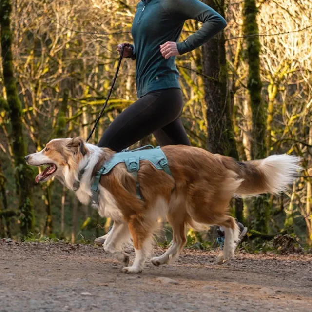 Ruffwear Web Master Hundsele Blågrön
