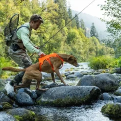 Ruffwear Web Master Hundsele Orange