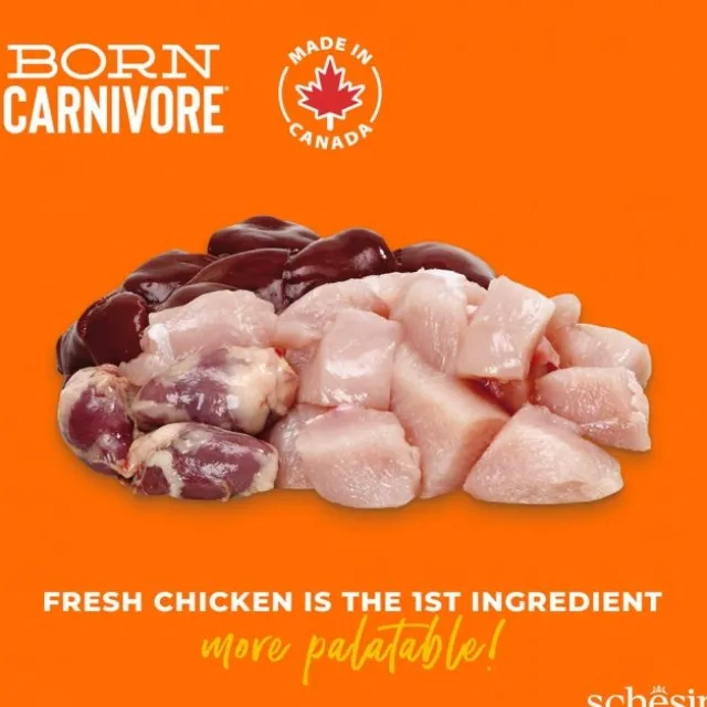 Schesir Cat Adult Born Carnivore Chicken & Egg