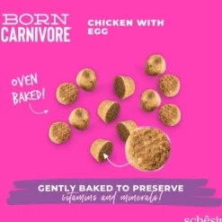 Schesir Kitten Born Carnivore Chicken & Egg