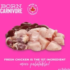 Schesir Kitten Born Carnivore Chicken & Egg