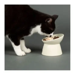 Scruffs Icon Upphöjd Matskål för Katt Vit