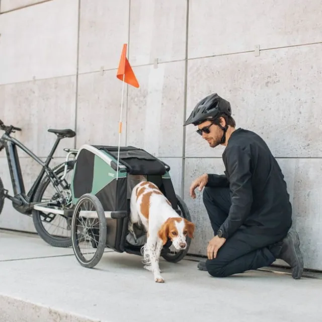 Thule Bexey Cykelvagn till Hund Grön
