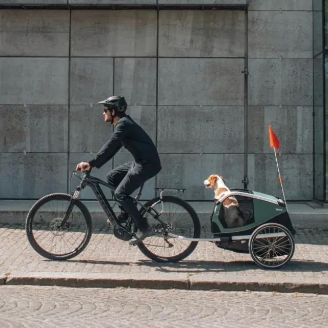 Thule Bexey Cykelvagn till Hund Grön