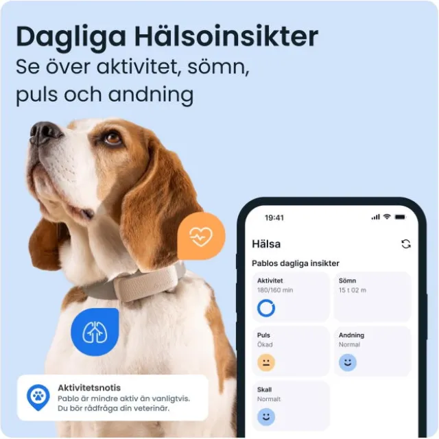 Tractive Dog 6 GPS Hund Brun