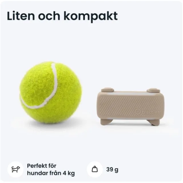 Tractive Dog 6 GPS Hund Brun