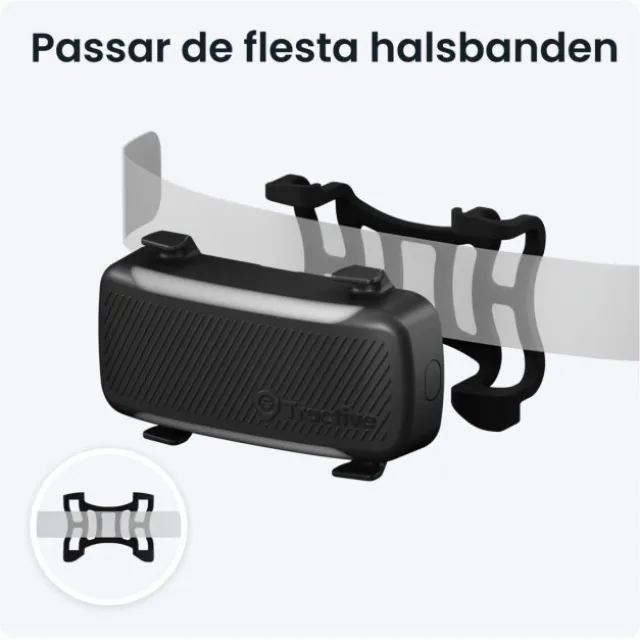 Tractive Dog 6 XL GPS till Hund