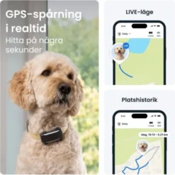 Tractive Dog 6 XL GPS till Hund