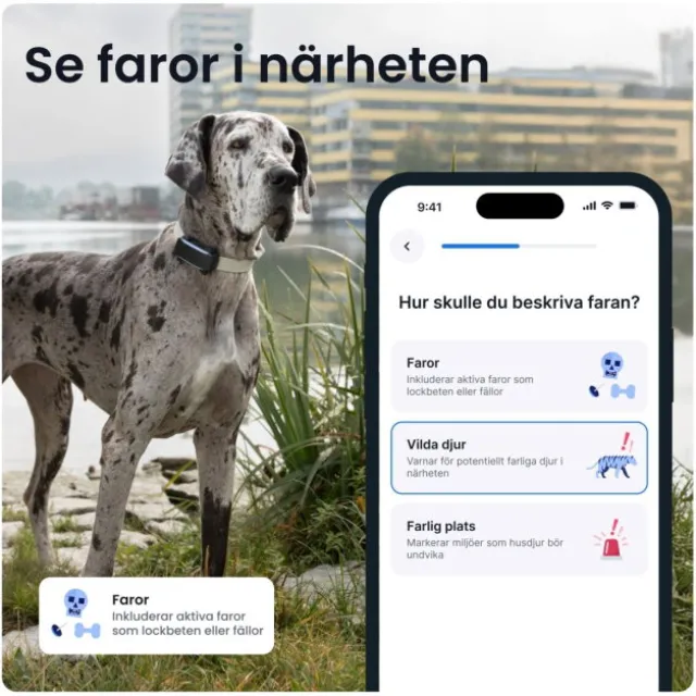 Tractive Dog 6 XL GPS till Hund