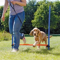 Trixie Agility Hopphinder 123 x 115 cm