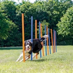 Trixie Agility Slalompinnar 12-pack