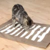 Trixie Katt Aktivitetsmatta