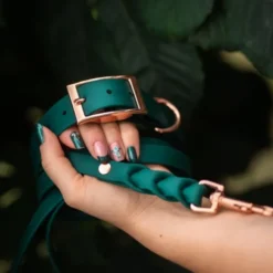 Tyylivoitto Classy Hundhalsband Smaragdgrön