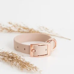 Tyylivoitto Classy Hundhalsband för Små Hundar Beige