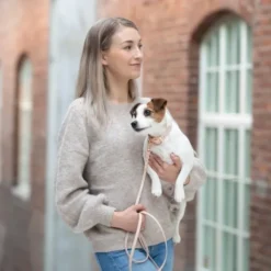 Tyylivoitto Classy Hundhalsband för Små Hundar Beige