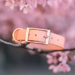 Tyylivoitto Classy Hundhalsband Persika