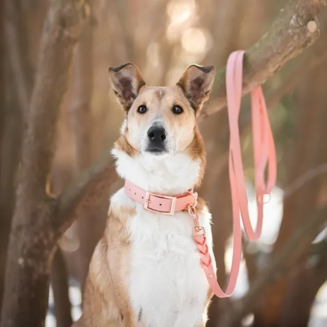 Tyylivoitto Classy Hundhalsband Persika