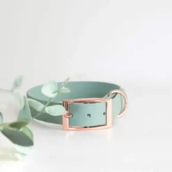 Tyylivoitto Classy Hundhalsband Ljusgrön