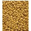 Versele-Laga NutriBird P15 Original Papegojpellets 1 kg