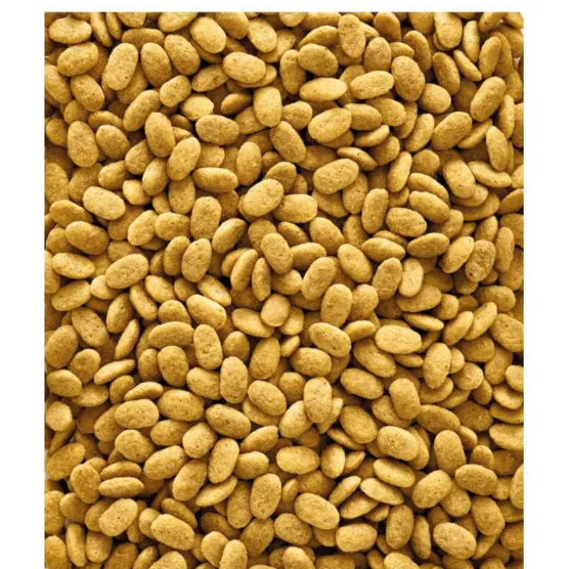 Versele-Laga NutriBird P15 Original Papegojpellets 1 kg
