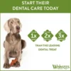 Whimzees Krokodil Large 6-pack