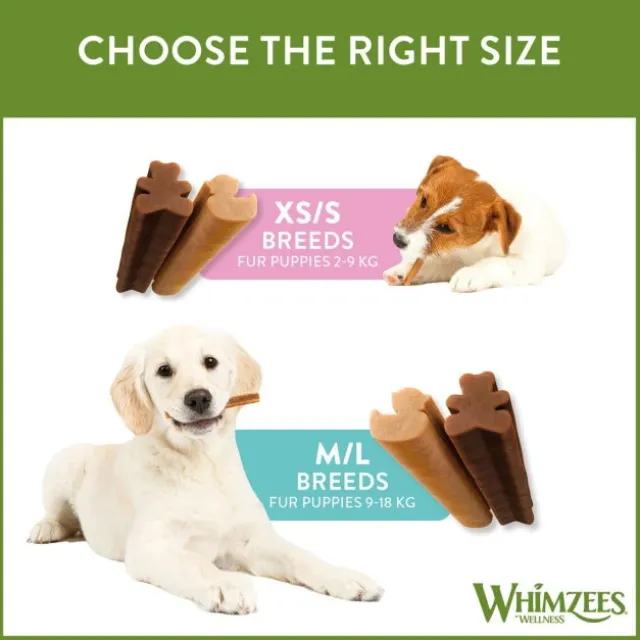 Whimzees Puppy Dental M/L