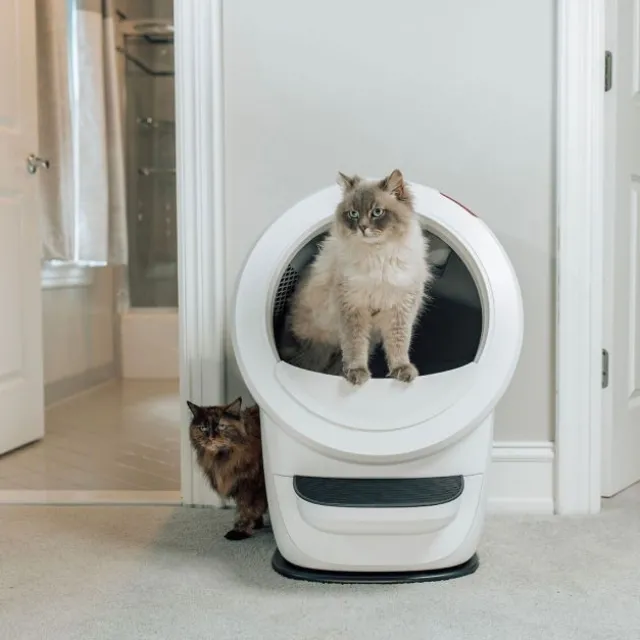 Whisker Litter-Robot 4 Självrensande Kattlåda Vit