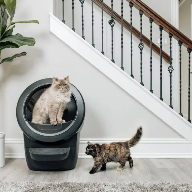 Whisker Litter-Robot 4 Självrensande Kattlåda Svart