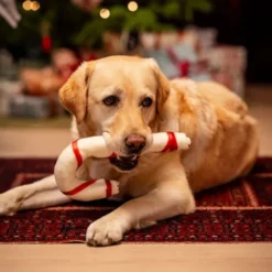 Xmas Julkäpp